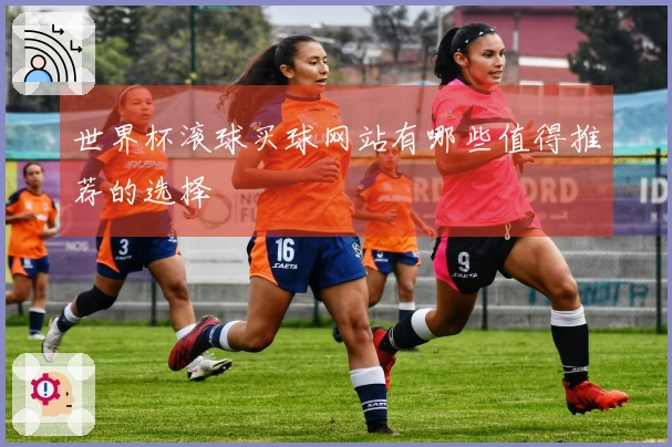 世界杯滚球买球网站有哪些值得推荐的选择