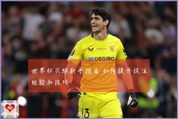 世界杯买球新手指南 如何提升投注经验和技巧