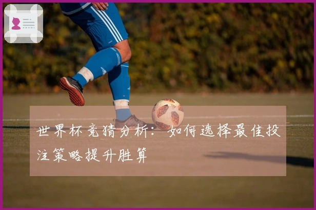 世界杯竞猜分析：如何选择最佳投注策略提升胜算