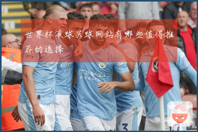 世界杯滚球买球网站有哪些值得推荐的选择